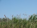Test - dscf3328.JPG